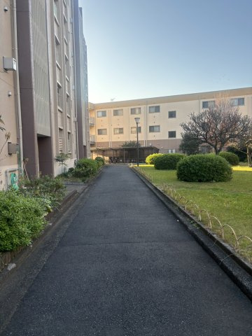 敷地内の前面道路です。手入れが行き届いていますね♪