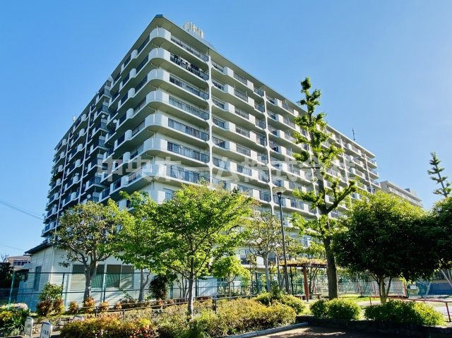 外観：313004687225