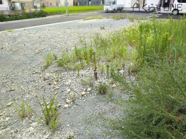 外観：328000548959