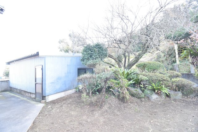 庭