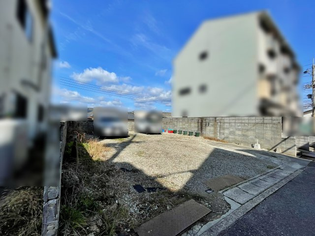 現地写真