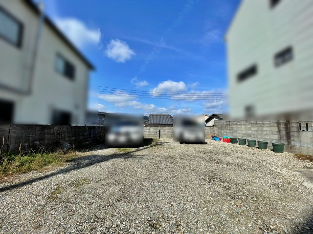 現地写真