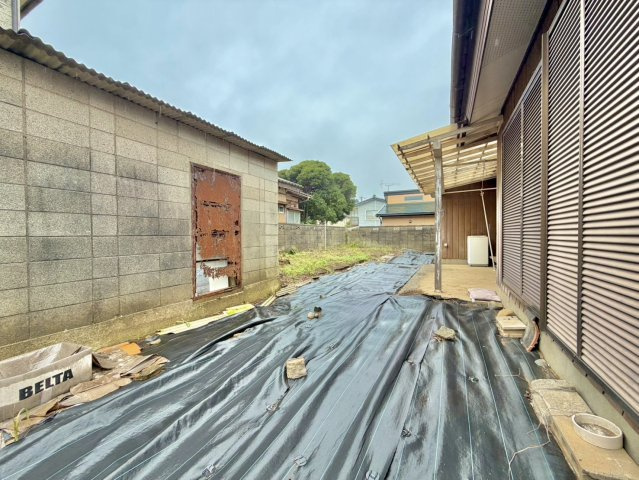 庭