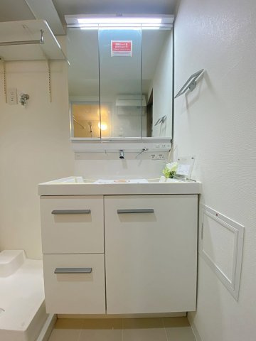 新規交換済みの独立洗面化粧台です。身支度がスムーズに行える使い勝手の良いデザインで、鏡裏や下部には小物をすっきり整理できる便利な収納スペースを備えています。