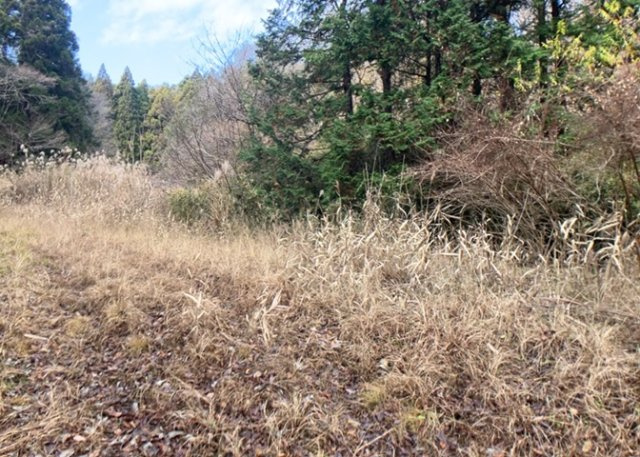 土地購入を検討されている場合、境界杭がない状態で購入してしまうと境界確定測量をする必要があり、費用がかかります。購入の前に、売主、隣土地所有者立ち合いのもと境界を確定し境界杭を設置するのがベストです。