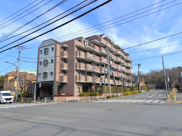 外観：313004611033