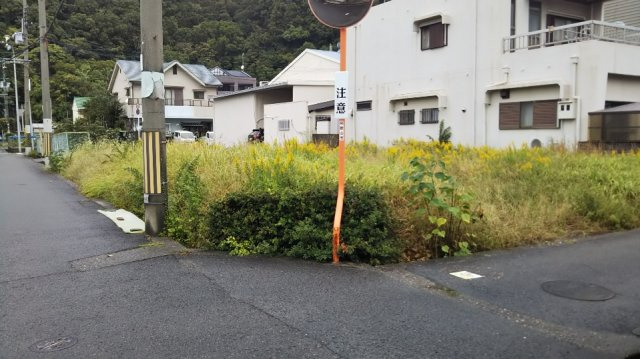 外観：330000084389