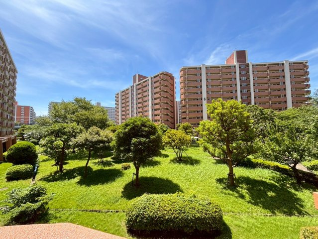 展望