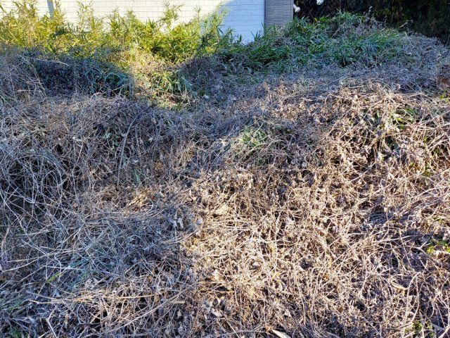 閑静な住環境です。