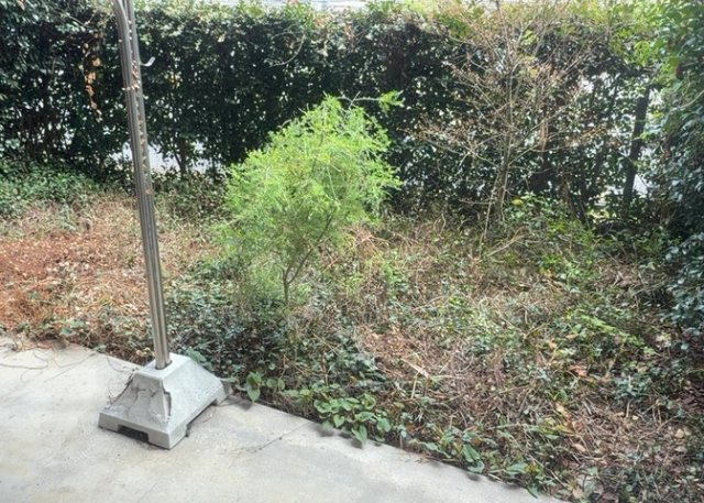 バルコニーは、室外の専用スペースのうち、「屋根がなく開放された空間」であるものを指します。ベランダより広いタイプのものが多く、日当たりもよいため家庭菜園などを楽しみたい人にとって適した環境となります。
