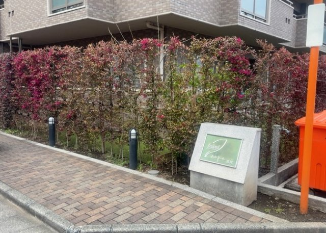 物件によっては、入居者が個人的に使用できる専用庭がついているものもあります。また、住宅の中にある土間の部分を庭と呼ぶこともあります。庭の用途は住む人によって変わり、それによってデザインもさまざまです。