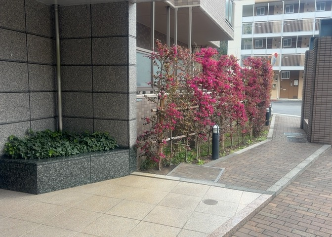 中庭（パティオ）とは、一つの建築物の内部に設けられた、壁などで囲われている庭のことを指します。コの字型、ロの字型が主流ですが、L字型の中庭もあります。最近では、インテリア性の高さからも人気があります。