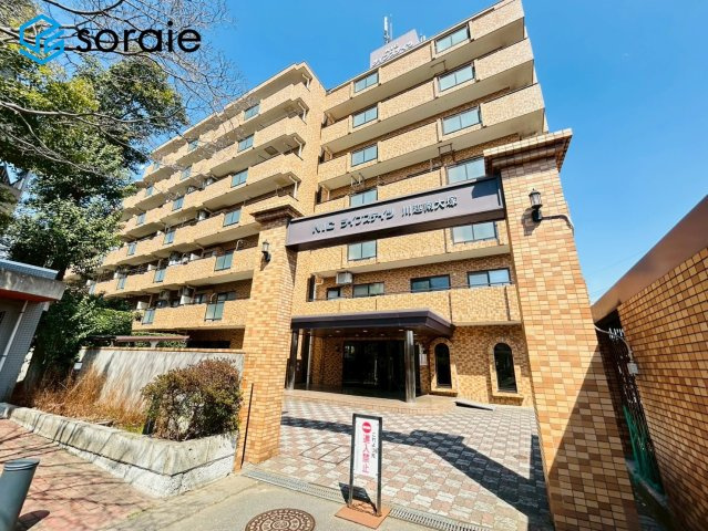 外観：311002354110