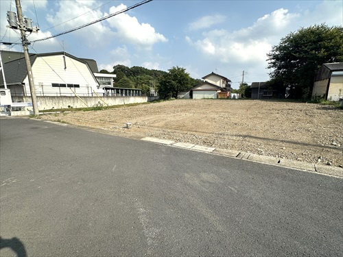 外観：309000085007