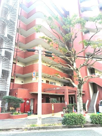 外観：340000276867