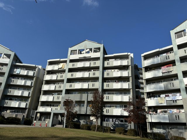 外観：313004663492