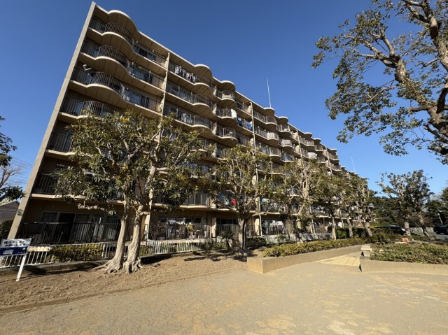 外観：312001233224