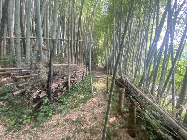 外観：343000087157