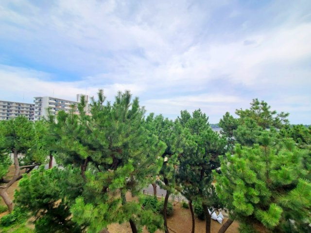 展望