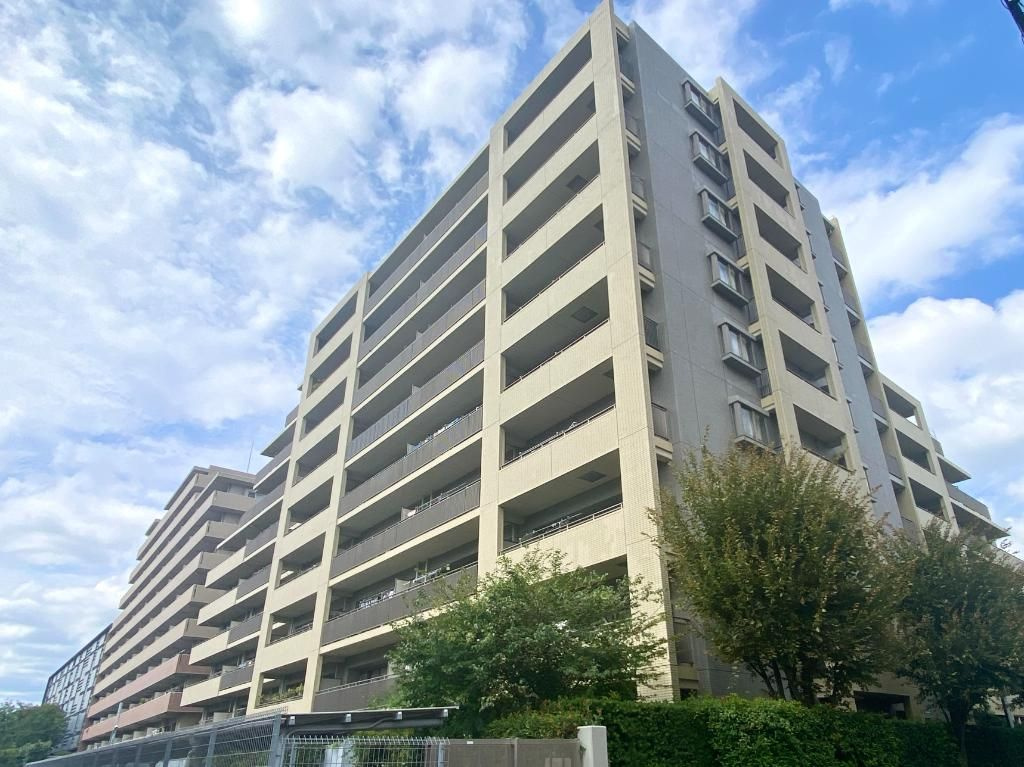 外観：313004576415