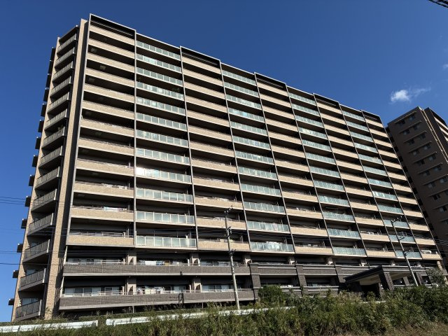 外観：314002597164