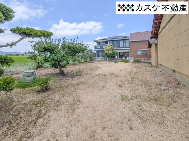 庭