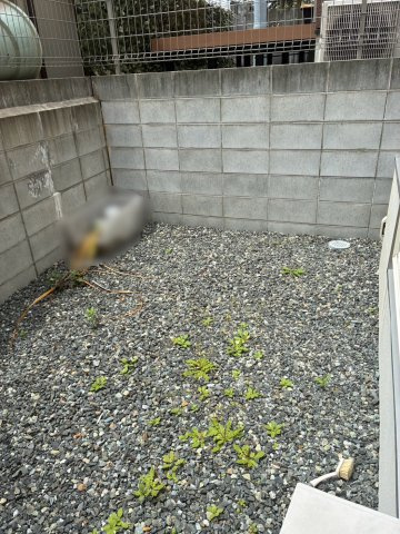 庭