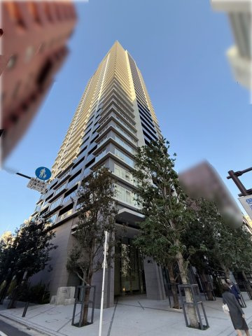 外観：313004695415