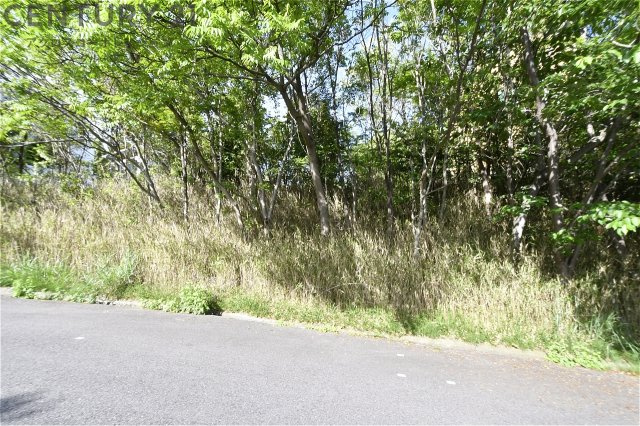 外観：328000307129