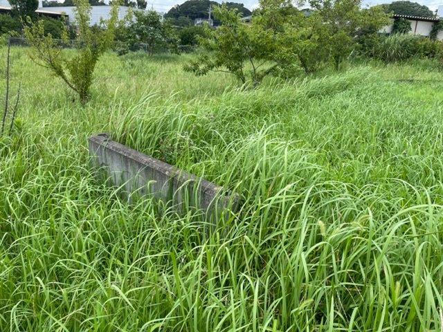 現地写真です