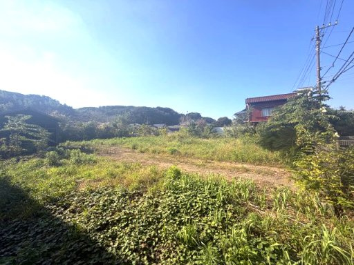 外観：312001332554
