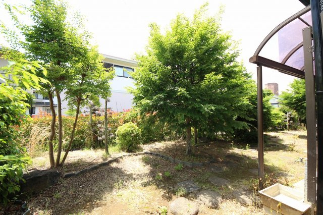 50坪超のお庭です
