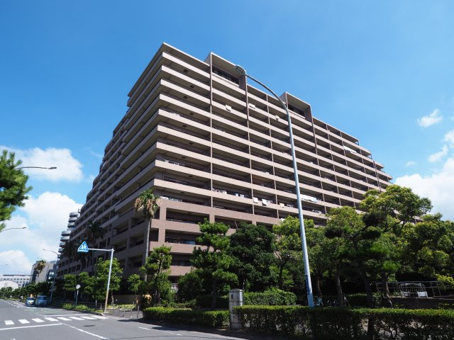 外観：312001123164