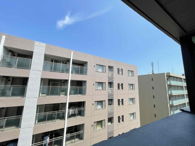 展望