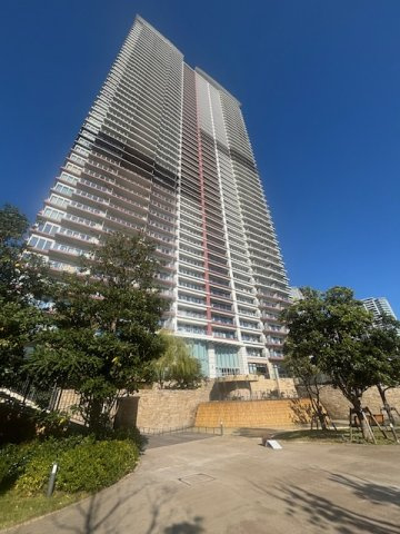 外観：313004894313