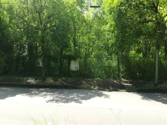 外観：328000613338