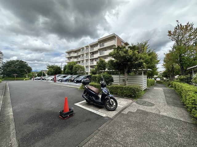 駐車場の空き状況については、その都度、確認いたしますのでお気軽にお聞きください。　