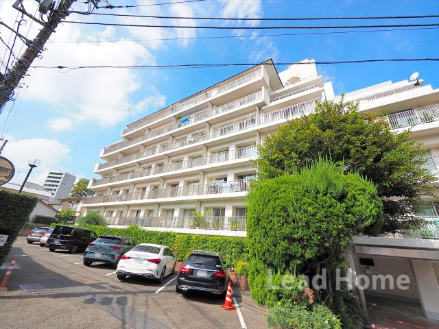 外観：313004684376