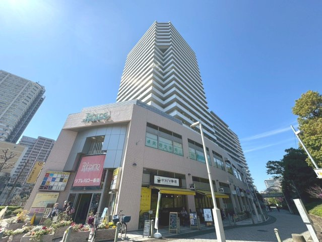 外観：311002267233