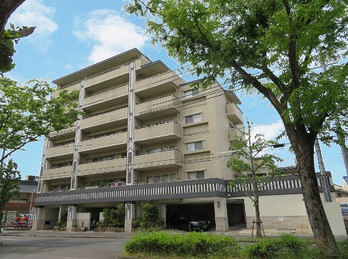 外観：326000241557