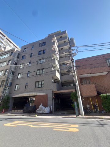 外観：313004697271