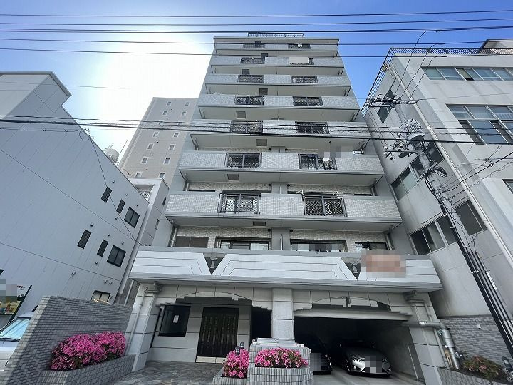 外観：334000243618