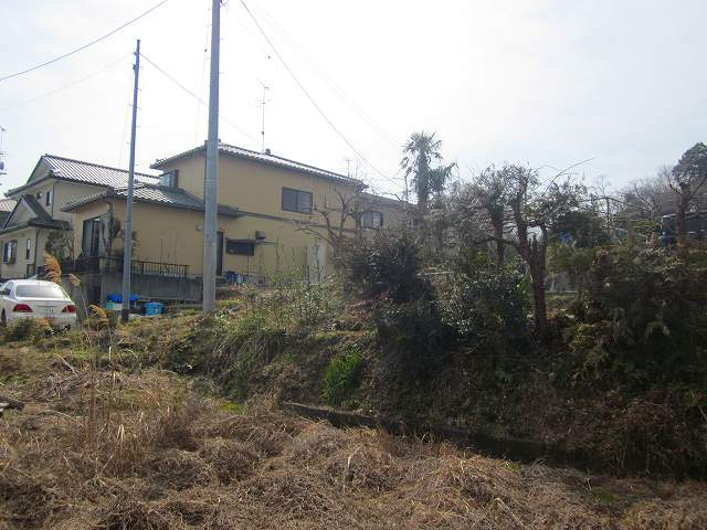 敷地内部から南西方向への写真です。