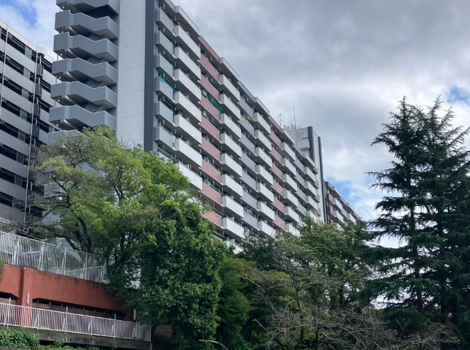 外観：311002275560