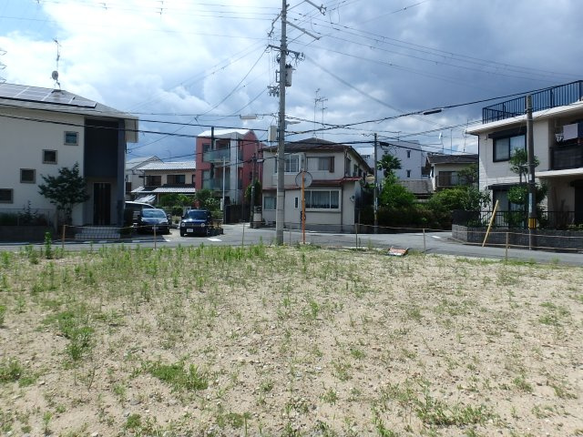 展望