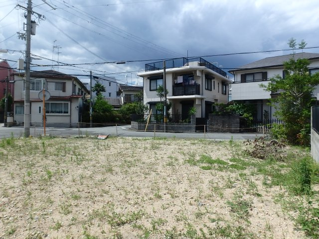 展望