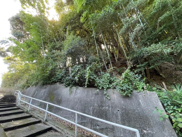 外観：308000148458