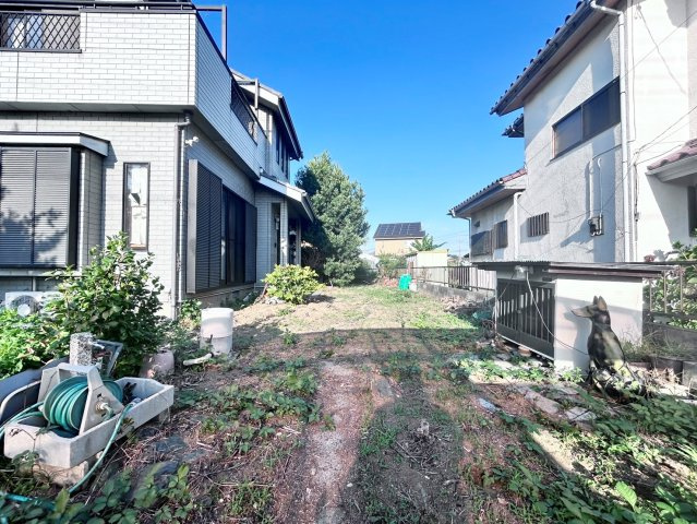 庭
