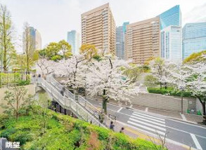 展望
