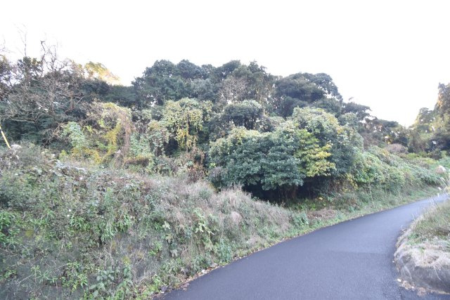 外観：346000038284